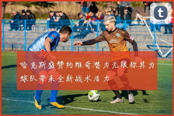 哈克斯盛赞约维奇潜力无限称其为球队带来全新战术活力