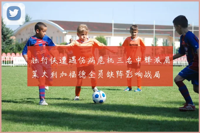 独行侠遭遇伤病危机三名中锋浓眉莱夫利加福德全员缺阵影响战局